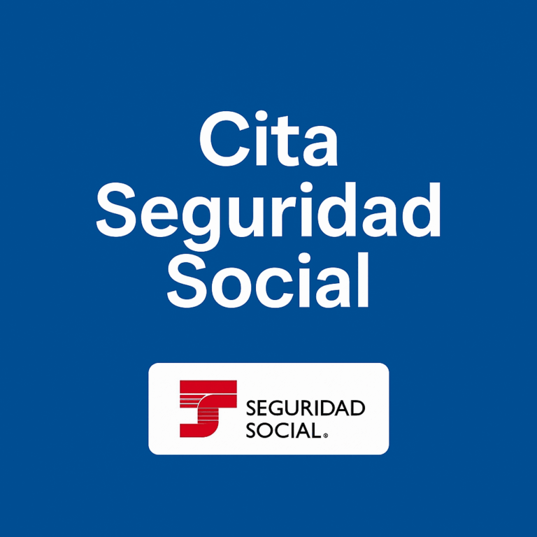 Cómo pedir una cita previa en la Seguridad Social paso a paso
